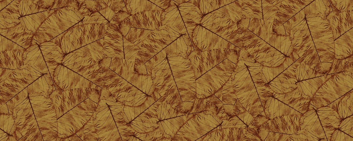 Sookha Patta design reference